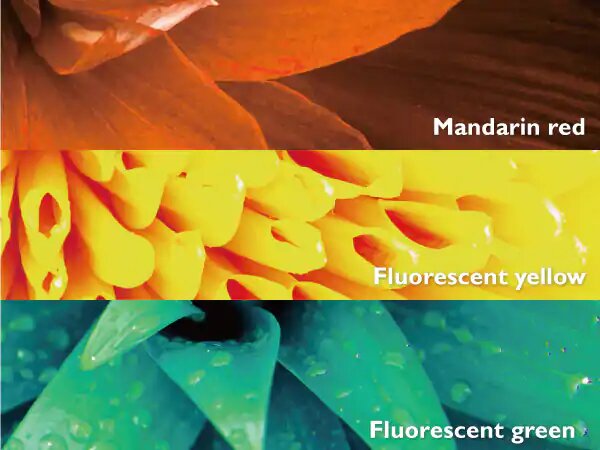 Clarico-3 Columns Style 2
